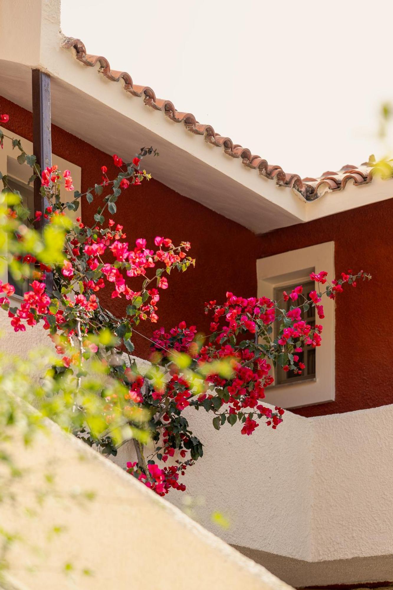 Villehardouin Farm Estate, Studios & Apartments, Minia, Kefalonia Argostoli  Exterior foto